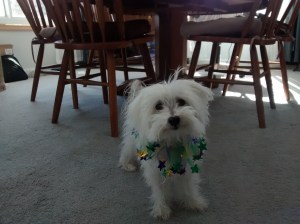 Laissez les bons temps rouler!