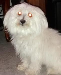 IMG_20140802_175504849